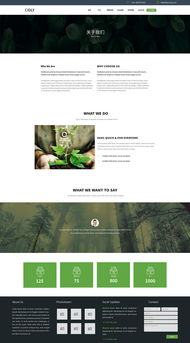 企业官网设计新视角 从“我的心情很番茄”到专业呈现